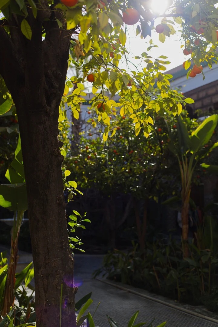 Binnenplaats van het Dar-el-Bacha paleis